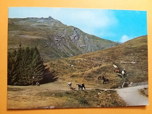 Monte cimone puledri - monte,