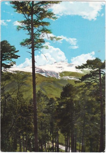 Cimone visto dalla - m.,