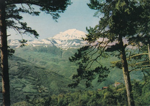 Cartolina fignola - cartolina,