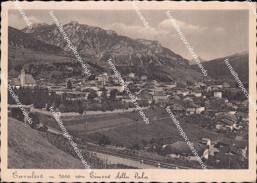 Bl715 cartolina cavalese - ,