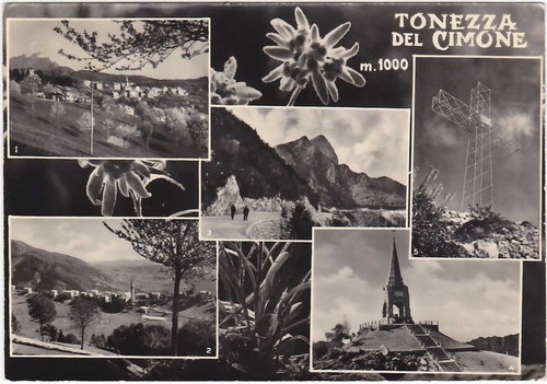 Tonezza del cimone vicenza - vicenza,
